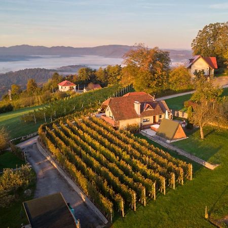 Vineyard Cottage Hocevar Novo Mesto Exterior foto