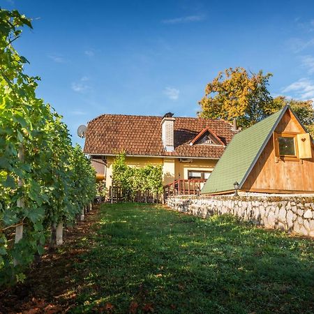Vineyard Cottage Hocevar Novo Mesto Exterior foto