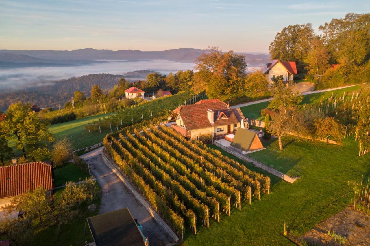 Vineyard Cottage Hocevar Novo Mesto Exterior foto