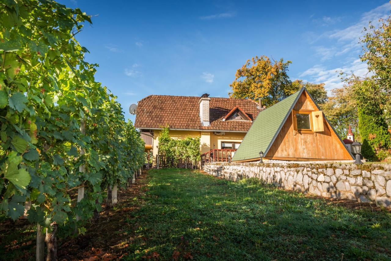Vineyard Cottage Hocevar Novo Mesto Exterior foto