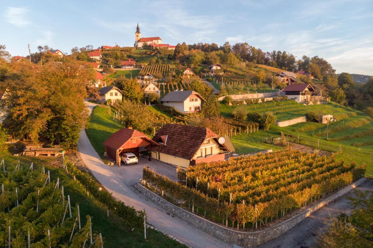 Vineyard Cottage Hocevar Novo Mesto Exterior foto